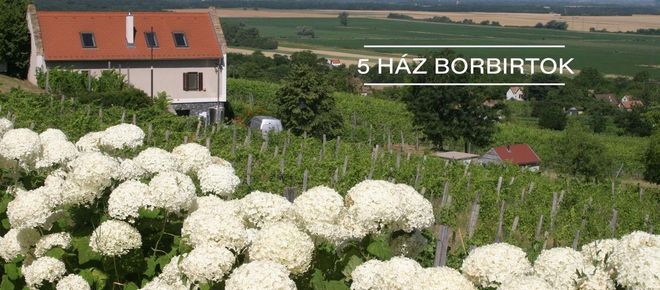 5 Ház Borbirtok